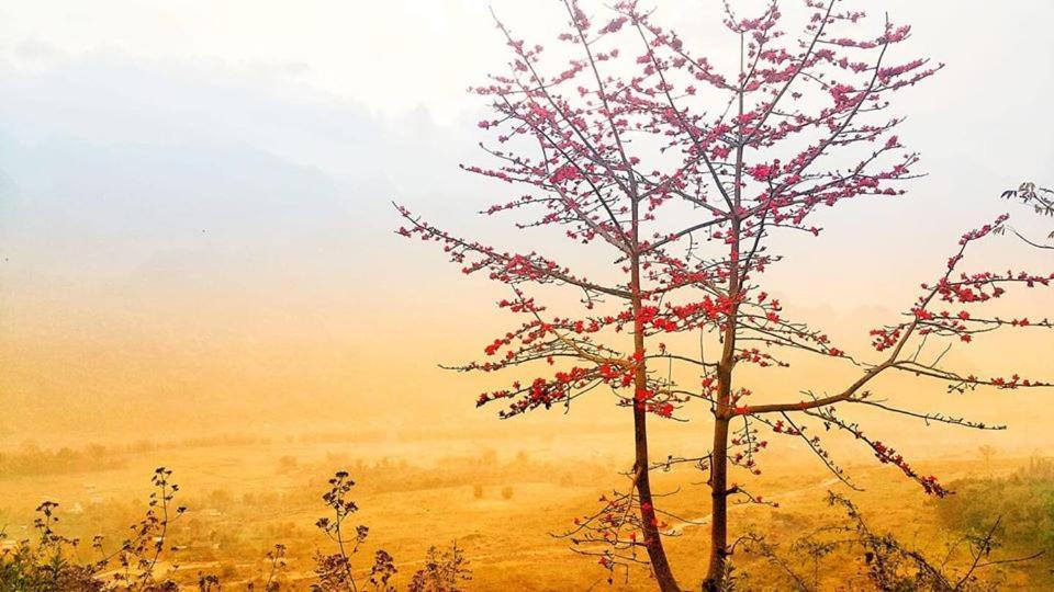Diem Dung Chan Can Ty Ha Giang Exterior photo
